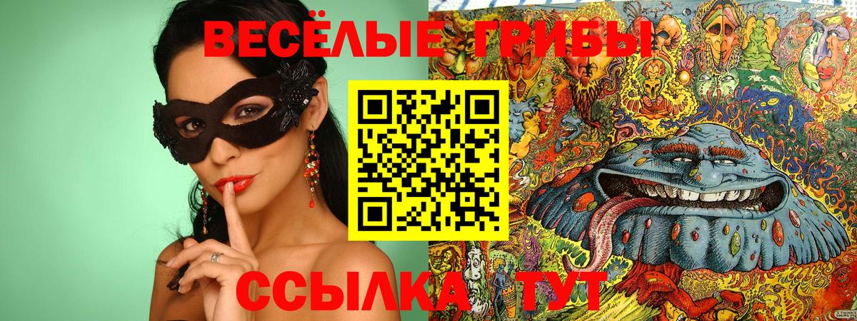 Псилоцибиновые грибы Psilocybe  Вход с VPN  Дмитров 